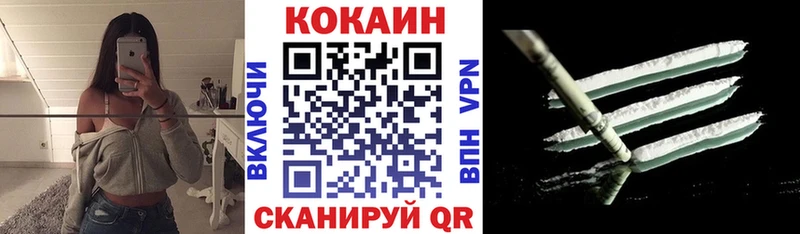 Кокаин Fish Scale  Купить закладки  Кириши 